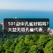 501勐宋孔雀好喝吗?大益无烟孔雀代表,孔雀系列佼佼者(图4) 501勐宋孔雀好喝吗?大益无烟孔雀代表,孔雀系列佼佼者(图4)
