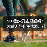 501勐宋孔雀好喝吗?大益无烟孔雀代表,孔雀系列佼佼者(图1) 501勐宋孔雀好喝吗?大益无烟孔雀代表,孔雀系列佼佼者(图1)