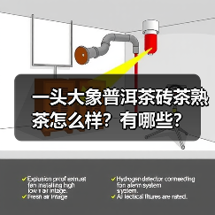一头大象普洱茶砖茶熟茶怎么样？有哪些？（图1）