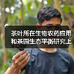茶叶所在生物农药应用和茶园生态平衡研究上取得重要进展（图3）