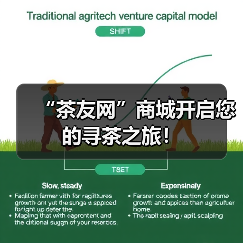 “茶友网”商城开启您的寻茶之旅！（图3）