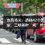宜昌毛尖:远销42个国家,三峡茶叶“闯”世界(图4) 宜昌毛尖:远销42个国家,三峡茶叶“闯”世界(图4)