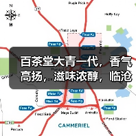百茶堂大青一代,香气高扬,滋味浓醇,临沧勐库教材级经典老生茶(图1) 百茶堂大青一代,香气高扬,滋味浓醇,临沧勐库教材级经典老生茶(图1)