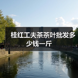 桂红工夫茶茶叶批发多少钱一斤(图2) 桂红工夫茶茶叶批发多少钱一斤(图2)