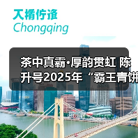 茶中真霸·厚韵贯虹 陈升号2025年“霸王青饼”面市（图4）