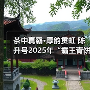 茶中真霸·厚韵贯虹 陈升号2025年“霸王青饼”面市（图2）