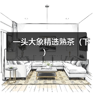 一头大象精选熟茶(下)(图4) 一头大象精选熟茶(下)(图4)