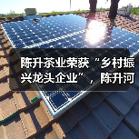 陈升茶业荣获“乡村振兴龙头企业”，陈升河董事长荣膺“勐海荣誉市民”（图2）
