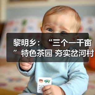 黎明乡:“三个一千亩”特色茶园 夯实岔河村产业基础(图1) 黎明乡:“三个一千亩”特色茶园 夯实岔河村产业基础(图1)
