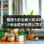 昆明七彩云南®庆沣祥®茶业股份有限公司荣获2025年【助力乡村振兴龙头企业 】称号(图2) 昆明七彩云南®庆沣祥®茶业股份有限公司荣获2025年【助力乡村振兴龙头企业 】称号(图2)