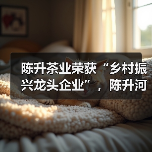 陈升茶业荣获“乡村振兴龙头企业”，陈升河董事长荣膺“勐海荣誉市民”（图3）