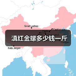 滇红金螺多少钱一斤（图1）