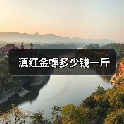 滇红金螺多少钱一斤（图4）