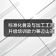 标准化普及与加工工艺升级培训助力景迈山茶产业高质量发展(图2) 标准化普及与加工工艺升级培训助力景迈山茶产业高质量发展(图2)