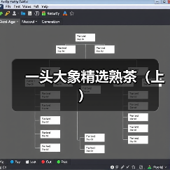 一头大象精选熟茶(上)(图4) 一头大象精选熟茶(上)(图4)