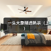 一头大象精选熟茶(上)(图3) 一头大象精选熟茶(上)(图3)