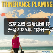 名茶之选·壹号担当 陈升号2025年“陈升一号”面市（图3）