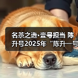 名茶之选·壹号担当 陈升号2025年“陈升一号”面市（图2）