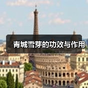 青城雪芽的功效与作用（图1）