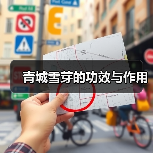 青城雪芽的功效与作用（图2）