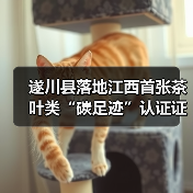 遂川县落地江西首张茶叶类“碳足迹”认证证书(图)(图2) 遂川县落地江西首张茶叶类“碳足迹”认证证书(图)(图2)
