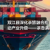 双江县深化茶旅融合推动产业升级——茶香满溢 价值倍增(图3) 双江县深化茶旅融合推动产业升级——茶香满溢 价值倍增(图3)