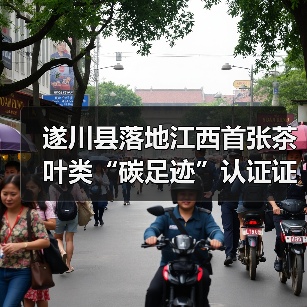 遂川县落地江西首张茶叶类“碳足迹”认证证书(图)(图1) 遂川县落地江西首张茶叶类“碳足迹”认证证书(图)(图1)