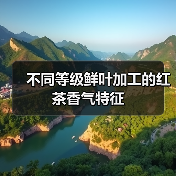 不同等级鲜叶加工的红茶香气特征（图1）
