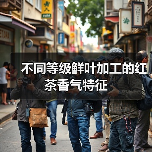 不同等级鲜叶加工的红茶香气特征（图3）