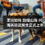柔润如绸 韵藏山海 兴海茶易武黑金正式上市！（图4）