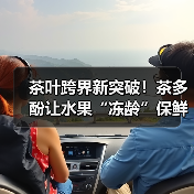 茶叶跨界新突破!茶多酚让水果“冻龄”保鲜(图3) 茶叶跨界新突破!茶多酚让水果“冻龄”保鲜(图3)