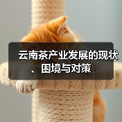 云南茶产业发展的现状、困境与对策（图4）