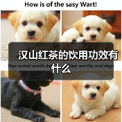 汉山红茶的饮用功效有什么（图1）