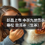 新品上市 中茶九龙贡茶 曼松 普洱茶(生茶)紧压茶(图4) 新品上市 中茶九龙贡茶 曼松 普洱茶(生茶)紧压茶(图4)