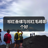 祁红香螺与祁红毛峰哪个好(图4) 祁红香螺与祁红毛峰哪个好(图4)