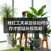 桂红工夫茶应该如何保存才能延长保质期(图2) 桂红工夫茶应该如何保存才能延长保质期(图2)