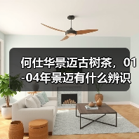 何仕华景迈古树茶,01-04年景迈有什么辨识点?详细解析(图1) 何仕华景迈古树茶,01-04年景迈有什么辨识点?详细解析(图1)
