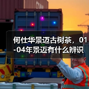 何仕华景迈古树茶,01-04年景迈有什么辨识点?详细解析(图3) 何仕华景迈古树茶,01-04年景迈有什么辨识点?详细解析(图3)