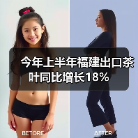 今年上半年福建出口茶叶同比增长18%（图1）