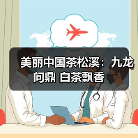 美丽中国茶松溪:九龙问鼎 白茶飘香(图3) 美丽中国茶松溪:九龙问鼎 白茶飘香(图3)