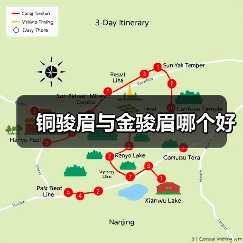 铜骏眉与金骏眉哪个好（图2）