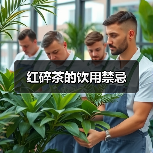 红碎茶的饮用禁忌(图4) 红碎茶的饮用禁忌(图4)