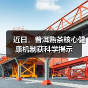 近日，普洱熟茶核心健康机制获科学揭示（图1）