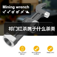 祁门红茶属于什么茶类(图2) 祁门红茶属于什么茶类(图2)