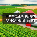 中茶普洱成功通过美国IFANCA Halal（美国国际清真食品）认证（图2）