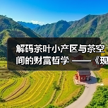 解码茶叶小产区与茶空间的财富哲学 ——《现代商业银行·财富生活》专访邓增永（图4）