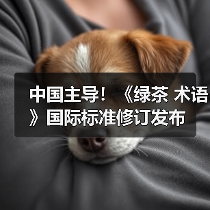 中国主导!《绿茶 术语》国际标准修订发布(图1) 中国主导!《绿茶 术语》国际标准修订发布(图1)