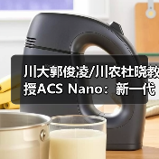 川大郭俊凌/川农杜晓教授ACS Nano：新一代多酚盔甲益生菌重建免疫-肿瘤-微生物组轴强化肿瘤化疗效果（图3）