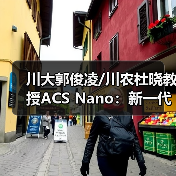 川大郭俊凌/川农杜晓教授ACS Nano：新一代多酚盔甲益生菌重建免疫-肿瘤-微生物组轴强化肿瘤化疗效果（图2）