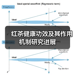 红茶健康功效及其作用机制研究进展（图2）